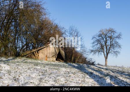 Collapsed shed in Winter with trees in the background Stock Photo