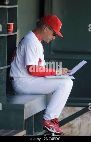 Miami Marlins first base coach Jon Jay is seen during spring training  baseball practice Sunday, Feb. 19, 2023, in Jupiter, Fla. (AP Photo/Jeff  Roberson Stock Photo - Alamy