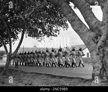 Ashanti troops in Gold Coast Regiment. Smartness in the parade ground ...