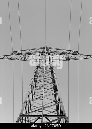 Black and white photo of a power pole and its power lines, photographed from the ground. Stock Photo