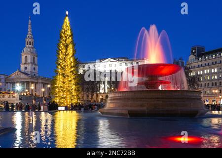 Christmas tree at Trafalgar Square, London England United Kingdom UK Stock Photo