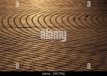 The texture of the sidewalk street in the sunlight. Brown rectangular tiles in perspective. Background. Horizontal. Stock Photo