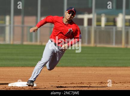 This is a 2011 photo of Darwin Perez of the Los Angeles Angels baseball team.  This image reflects the Los Angeles Angels' active roster as of Monday,  Feb. 21, 2011 when this