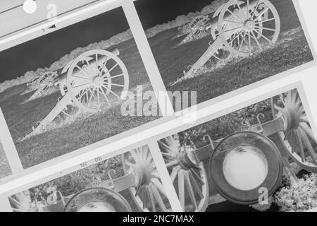 Film photography is popular again, and this image shows a close-up of four 6x7 black and white negatives on a light table. The photos belong to the ph Stock Photo