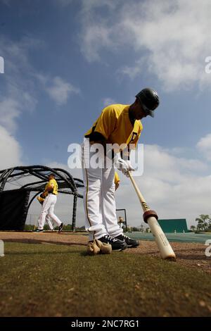 Pittsburgh Pirates' Ronny Cedeno during spring training baseball practice,  Sunday, Feb. 20, 2011, in Bradenton, Fla. (AP Photo/Eric Gay Stock Photo -  Alamy