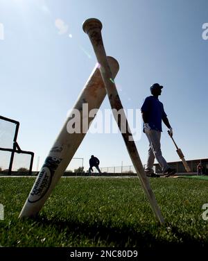 Rougned Odor Game-Used Broken Bat, Elvis Andrus Model Bat