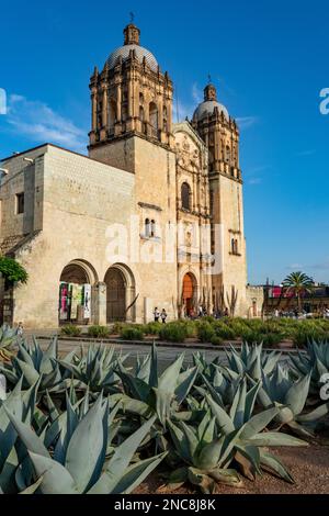 Agaves in front of the Church of Santo Domingo de Guzman in the historic center of Oaxaca, Mexico.  Built in Baroque style, construction began in 1575 Stock Photo