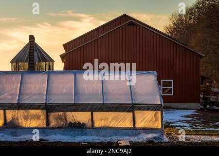 Greenhouse waiting for spring on an Amish farm in Mecosta County, Michigan, USA [No property release; editorial licensing only] Stock Photo