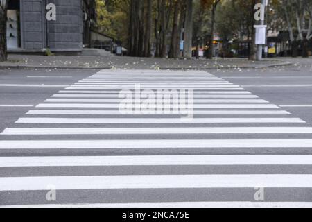 White pedestrian crossing on empty city street Stock Photo - Alamy