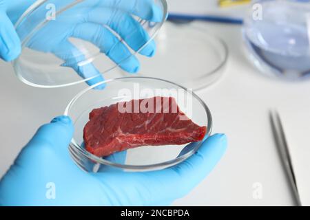 Scientist holding Petri dish with piece of raw cultured meat in laboratory, closeup Stock Photo