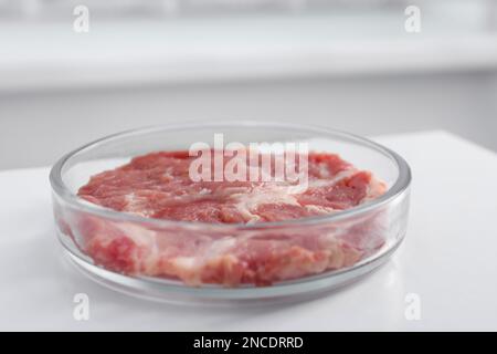 Petri dish with piece of raw cultured meat on white table indoors, closeup Stock Photo