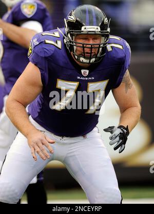 Minnesota Vikings center Matt Birk is shown during an NFL football game  against the Washington Redskins Sunday, Dec. 23, 2007 in Minneapolis.(AP  Photo/Tom Olmscheid Stock Photo - Alamy