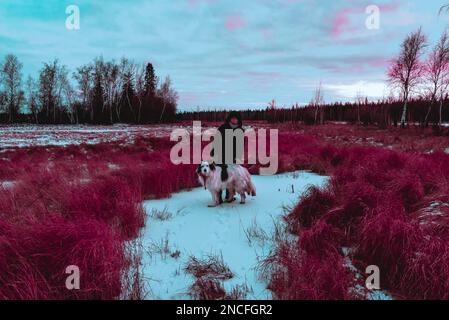 Abstract cyberpunk style photo of a girl playing with a white dog in the snow in a field in Yakutia. Stock Photo