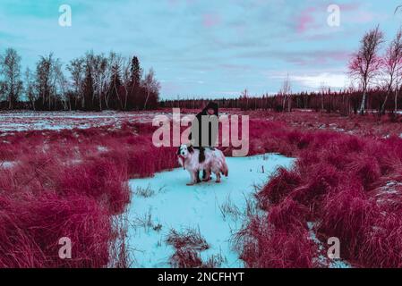 Abstract cyberpunk style photo of a girl playing with a white dog in the snow in a field in Yakutia during the day. Stock Photo