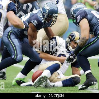 Seattle Seahawks linebackers Julian Peterson, left, and LeRoy Hill  celebrates Hill's sack of Arizona Cardinal quarterback Kurt Warner in the  second quarter Sunday, September 17, 2006 in Seattle. (UPI Photo/Jim Bryant  Stock