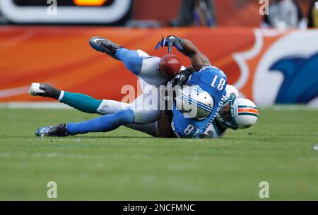 Detroit Lions wide receiver Calvin Johnson (81) celebrates his 33-yard  touchdown with teammate Edwin Mulitalo against the Indianapolis Colts  during the second quarter at Lucas Oil Field in Indianapolis on December 14