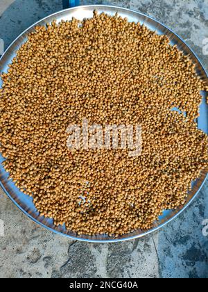 Fresh Coriander In Black Round Bowl On Dark Wooden Background. Fresh 