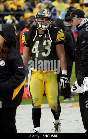 Flashback Friday: Troy Polamalu, Steelers Defense Pummel Bengals In 2010  Matchup - Steelers Depot