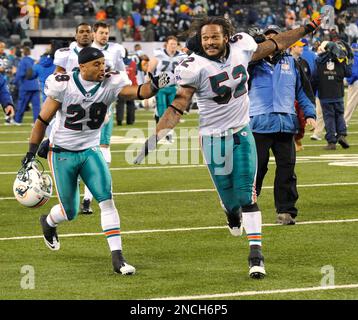 Miami Dolphins' Jason Allen (32) before an NFL football game against the  Carolina Panthers in Charlotte, N.C., Thursday, Nov. 19, 2009. (AP  Photo/Rick Havner Stock Photo - Alamy