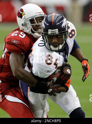 22 November 2010: Denver Broncos wide receiver Brandon Lloyd #84 during the  NFL regular season game between the Denver Broncos and the San Diego  Chargers at the Qualcomm Stadium in San Diego