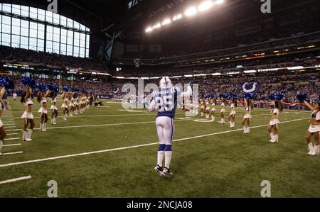 Indianapolis Colts cornerback Jerraud Powers (25) breaks up a touchdown  pass intended for Minnesota Vikings wide receiver Michael Jenkins (84)  during the fourth quarter of the Colts 23-20 win at Lucas Oil