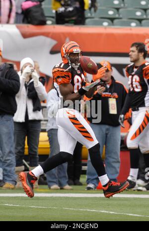 12 September 2010:Wide Receiver Terrell Owens #81 waits for the ball to be  snapped during the Bengals game against the Patriots at Gillette Stadium in  Foxboro, MA (Icon Sportswire via AP Images