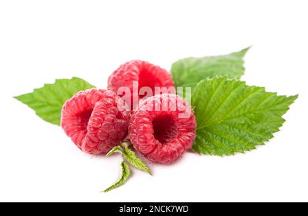 Ripe raspberry with green leaf on white background Stock Photo