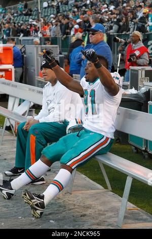 Miami Dolphins tight end Joey Haynos looks for a pass interference