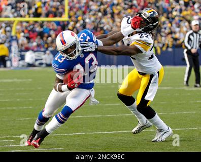 Buffalo Bills wide receiver Steve Johnson reacts after a play during an NFL  football game against the New England Patriots in Orchard Park, N.Y. on  Sunday, Dec. 26, 2010. New England won