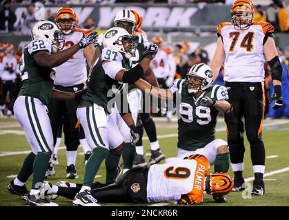 Oct 25, 2009 - Oakland, California, U.S. - Oakland Raiders vs New York Jets  at Oakland-Alameda County Coliseum Sunday, October 25, 2009. New York Jets  linebacker Calvin Pace #97 strips ball from