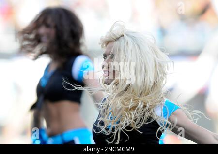 Charlotte, Carolina del Norte, EE.UU. 13 de diciembre de 2015. Las Panteras  de Carolina Topcats cheerleaders durante el juego de fútbol americano de la  NFL entre los Atlanta Falcons y Carolina Panthers