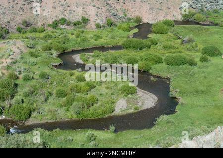 Tributary stream to the East Fork of the Salmon River in central Idaho Stock Photo