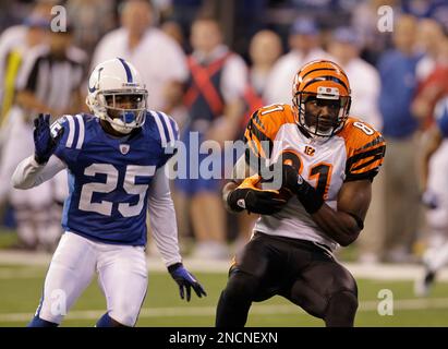 Indianapolis Colts cornerback Jerraud Powers (25) breaks up a touchdown  pass intended for Minnesota Vikings wide receiver Michael Jenkins (84)  during the fourth quarter of the Colts 23-20 win at Lucas Oil