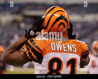 Cincinnati Bengals - Cincinnati Bengals wide receiver Terrell Owens (81)  runs after catching a pass from quarterback Carson Palmer against the  Cleveland Browns in their NFL football game on Sunday, Oct. 3