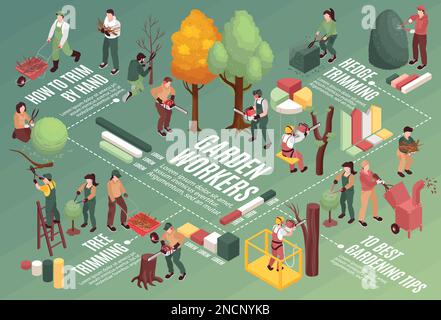 Garden workers flowchart with trimming tips symbols isometric vector illustration Stock Vector
