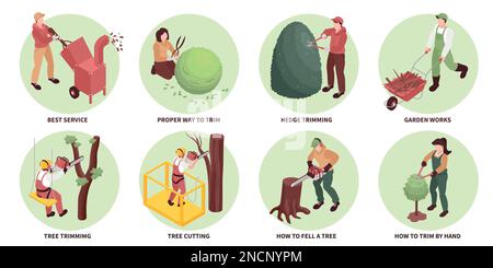 Garden workers compositions set with tree cutting symbols isometric isolated vector illustration Stock Vector