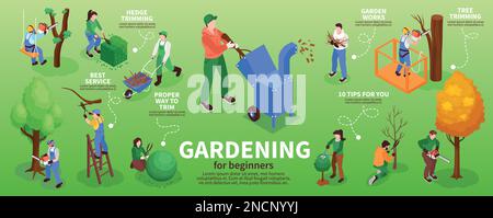 Garden workers infographic set with hedge trimming symbols isometric vector illustration Stock Vector