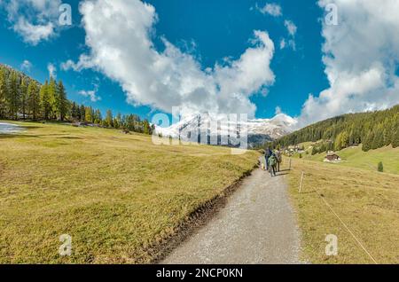 A famely takes a walk in the Dischma valley Stock Photo