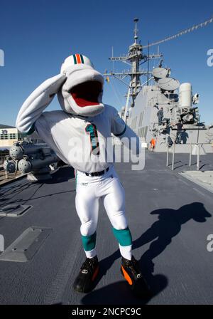 miami dolphins christmas blow up