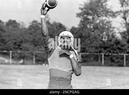 Joe Gilliam (17) quarterback of Pittsburgh Steelers in August 1975. (AP  Photo/Harry Cabluck Stock Photo - Alamy