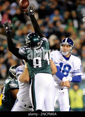 Philadelphia Eagles' Darryl Tapp (91) in the first half of an NFL football  game against the Dallas Cowboys, Sunday, Jan. 2, 2011, in Philadelphia. (AP  Photo/Michael Perez Stock Photo - Alamy