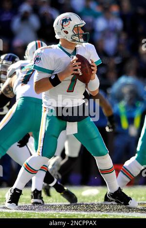 November 28, 2010; Oakland, CA, USA; Miami Dolphins quarterback Chad Henne  (7) during the first quarter against the Oakland Raiders at Oakland-Alameda  County Coliseum. Miami defeated Oakland 33-17 Stock Photo - Alamy