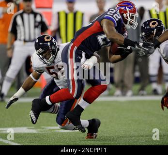 Photo: Bears Urlacher, Tillman and Briggs celebrate fumble recovery against  Lions in Chicago - CHI2010091222 