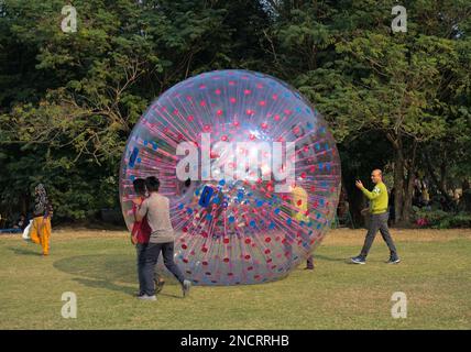 People enjoying Walking balloon or zorbing balloon on sunny day inside eco park. Stock Photo