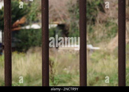 rusted and worn iron railings Stock Photo
