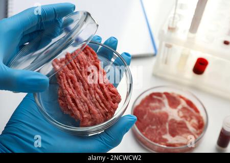 Scientist holding Petri dish with minced cultured meat in laboratory, closeup. Space for text Stock Photo