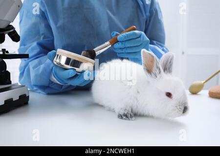 Scientist with rabbit and makeup products in chemical laboratory, closeup. Animal testing Stock Photo