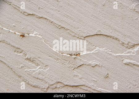 Wooden background or texture. Burnt wood with knots. High quality photo Stock Photo