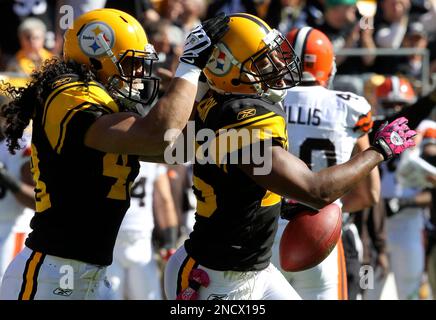 Pittsburgh Steelers Ryan Clark celebrates the Steelers 24-19 win