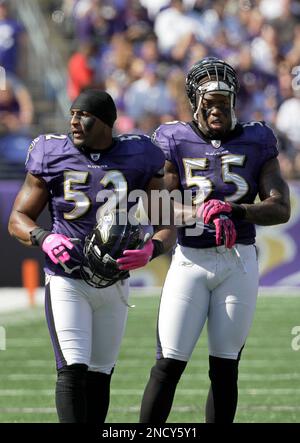 13 September 2010: Baltimore Ravens linebacker Terrell Suggs (55) during  the second half of the Baltimore Ravens vs New York Jets game at the New  Meadowlands Stadium in East Rutherford, New Jersey